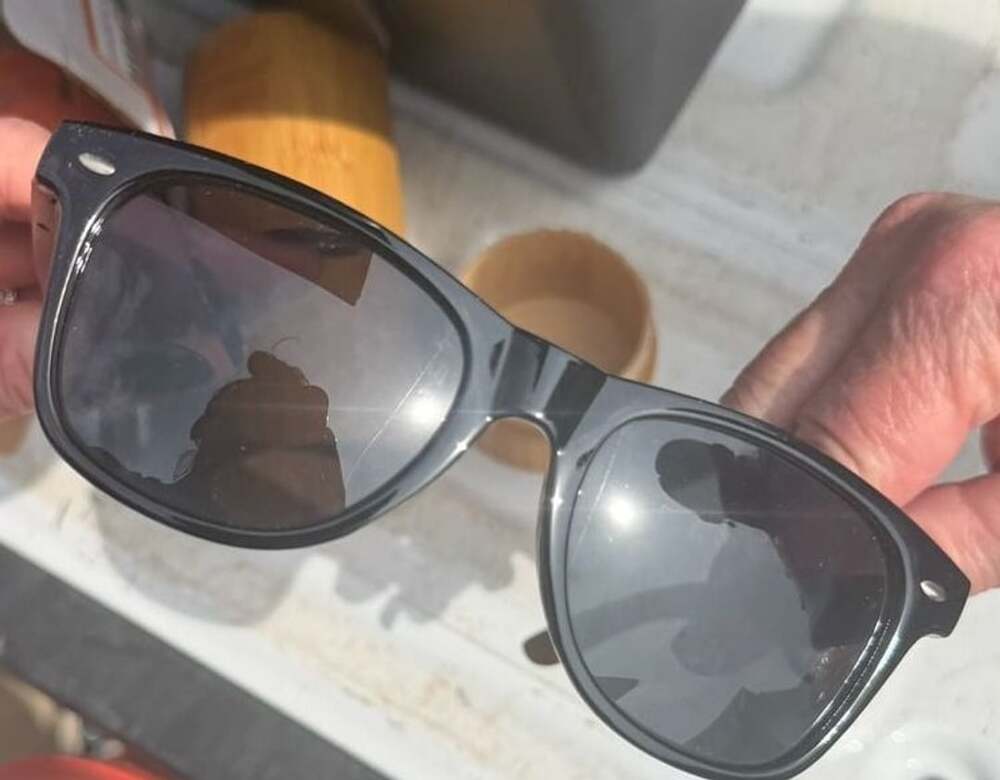 🕶️ Woodies Wayfarer - Sunglasses with Case and Accessories (2 guitar picks, cas